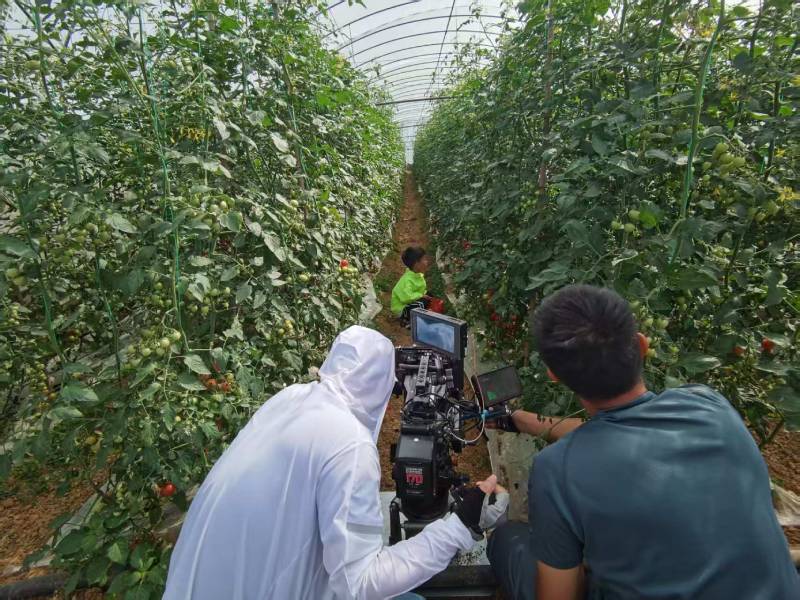 高效落地，娄底TVC拍摄公司助力品牌抢占市场先机